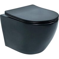 Deante Up Uno VSS01101PF с крышкой Slim Soft-Close (черный)