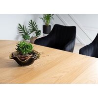 Signal Domingo 100/250x100 (дуб/черный) Image #6