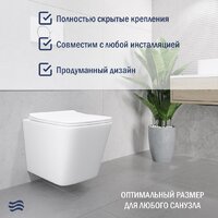 Lauter Square 214903 с кнопкой 219701HD (узкая, хром) Image #7