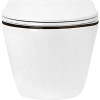 Roxen Antares Black в комплекте с инсталляцией StounFix Dual Fresh 6 в 1 868511 (кнопка: черный матовая) Image #7