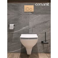 Cersanit Carina New Clean On с инстал. Link Pro (с кнопкой Twins 63524 золото матовый) Image #16