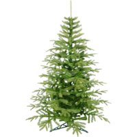 Erbis Swierk PE Lux 1.8 м