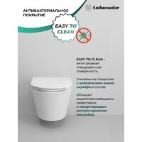 Ambassador Ritz 233K19003RS Image #8