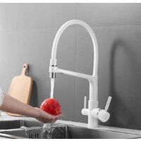 Rose R658C Image #10