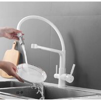 Rose R658C Image #12