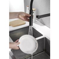 Rose R133H (черный) Image #3