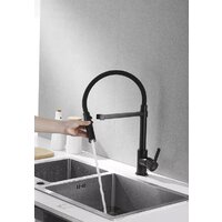 Rose R133H (черный) Image #9