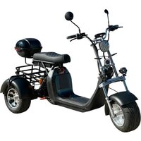 Smart Balance X11 Trike 2025