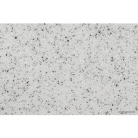 Gerhans B20 (серый) Image #6