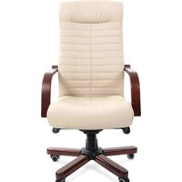 CHAIRMAN 480WD (бежевый) Image #2