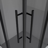 Niagara NG-2828-34BLACK 80x80x195 (черный матовый/тонированное стекло) Image #2