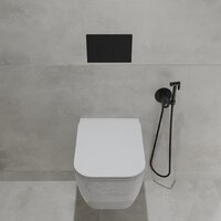 Oliveeka OL-MQ-003 + OL-1216 + OL-R22-MB (черный матовый) Image #2