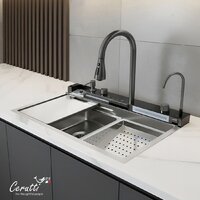 Ceruttispa ct11888 Image #3