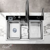 Ceruttispa ct11888 Image #4