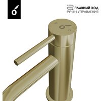 Oliveeka OL-669017+88139017-BG (золотой матовый) Image #4