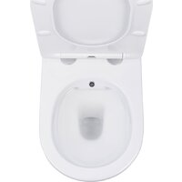 Roxen Antares Bidet в комплекте с инсталляцией StounFix Dual Fresh 6 в 1 966280 (кнопка: бежевый) Image #5