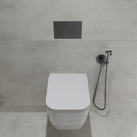 Oliveeka OL-MQ-003 + OL-1216 + OL-R22-BGM (матовый оружейный металл) Image #3