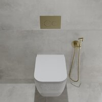 Oliveeka OL-MQ-003 + OL-1216 + OL-R22-BG (матовое золото) Image #3