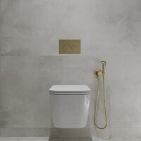 Oliveeka OL-MQ-003 + OL-1216 + OL-R22-BG (матовое золото) Image #2