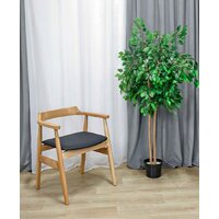 Sheffilton SHT-S204 (черный/прозрачный лак) Image #6