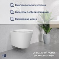 Lauter Longer 2110822 с кнопкой 219701E (круглая, хром) Image #7