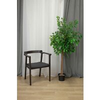 Sheffilton SHT-S203 (черный/венге) Image #7