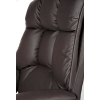 Norden Президент H-1133-322 leather (коричневый) Image #13