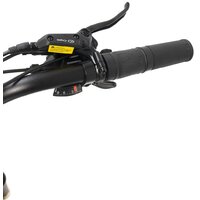 Smart Balance Hunter 2024 (золотистый) Image #4