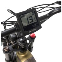 Smart Balance Hunter 2024 (золотистый) Image #3