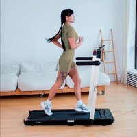 Orlauf Jay (серый) Image #14