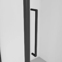 Niagara 120x80x195 NG-85-12AB-A80B-34 (черный матовый/прозрачное стекло) Image #2