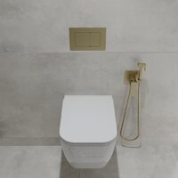 Oliveeka OL-MQ-003 + OL-1216 + OL-E12-BG (матовое золото) Image #3