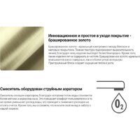 Deante Eridan Gold BRE R75M Image #4