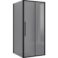 Niagara 110x100x195 NG-85-11TB-TB100-34 (черный матовый/тонированное стекло)