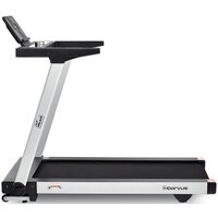 Orlauf Corvus (серый) Image #2