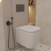 Oliveeka OL-MQ-003 + OL-G1 + OL-R22-BGM (матовый оружейный металл) Image #2