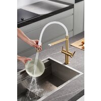 Rose R458G Image #11