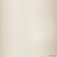 Wisent 580-30WQ (с сифоном GER011) Image #6