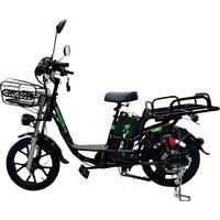 Terax DVINA LITE NS011