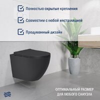 Lauter Augsburg 21109EC + 21901002 (кнопка узкая, черный) Image #8