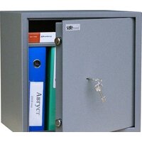 SAFEtronics NTL-40M