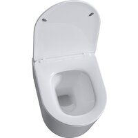 Roxen Simple Compact в комплекте с инсталляцией StounFix Dual Fresh 6 в 1 868468 (кнопка: золото глянцевая) Image #9