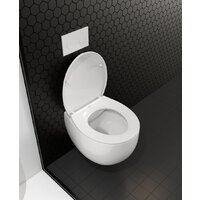 Roxen Egg в комплекте с инсталляцией StounFix Dual Fresh 6 в 1 964256 (кнопка: черное стекло) Image #11