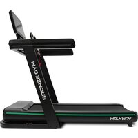 Bronze Gym WalkWay Image #2