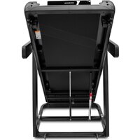 Bronze Gym WalkWay Image #4