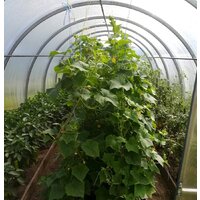 КомфортПром 3x6м(1) 10014074 (с поликарбонатом) Image #14