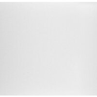 Wisent 600-28W (с сифоном GER013) Image #5