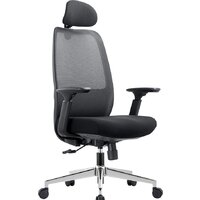 CHAIRMAN CH581 (черный)