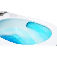 Roxen Vortex 530160-01 Rimless Soft Close Image #6