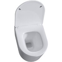 Roxen Simple compact в комплекте с инсталляцией StounFix Dual Fresh 6 в 1 968486 (кнопка: сатин) Image #6